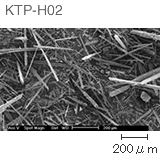 KTP-H02