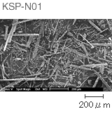 KSP-N01