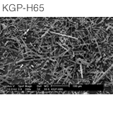 KGP-H65